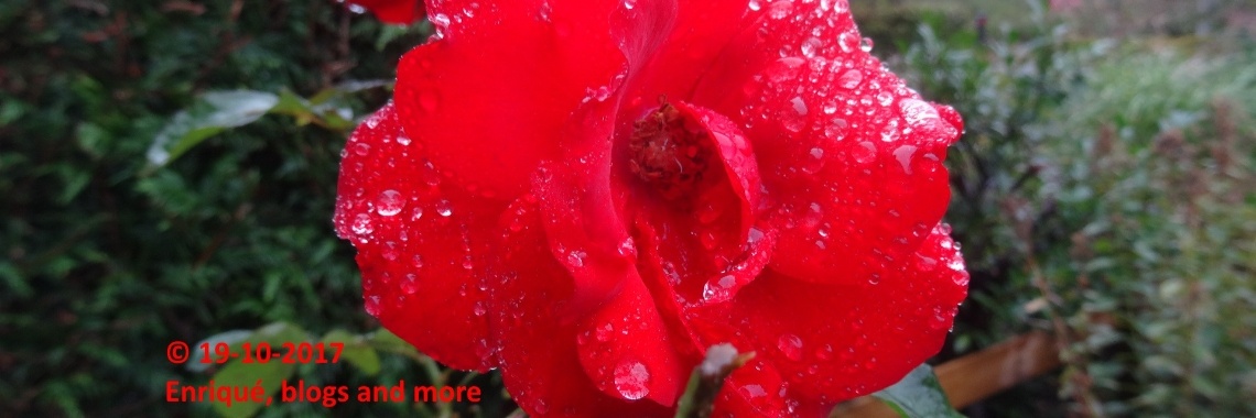 Slaapmutsje 50 "Licht Erotisch" 18+ | The Original Enrique