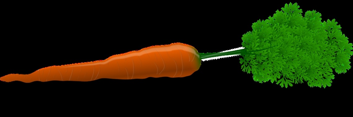 Tautogram 'Winterse Winterpeen' | The Original Enrique