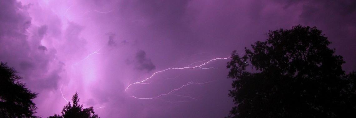 Tautogram 'Fishy Whippet' | The Original Enrique