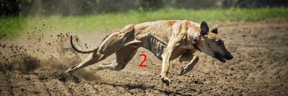 Turbosprookjes 2: De collectie in wording | The Original Enrique