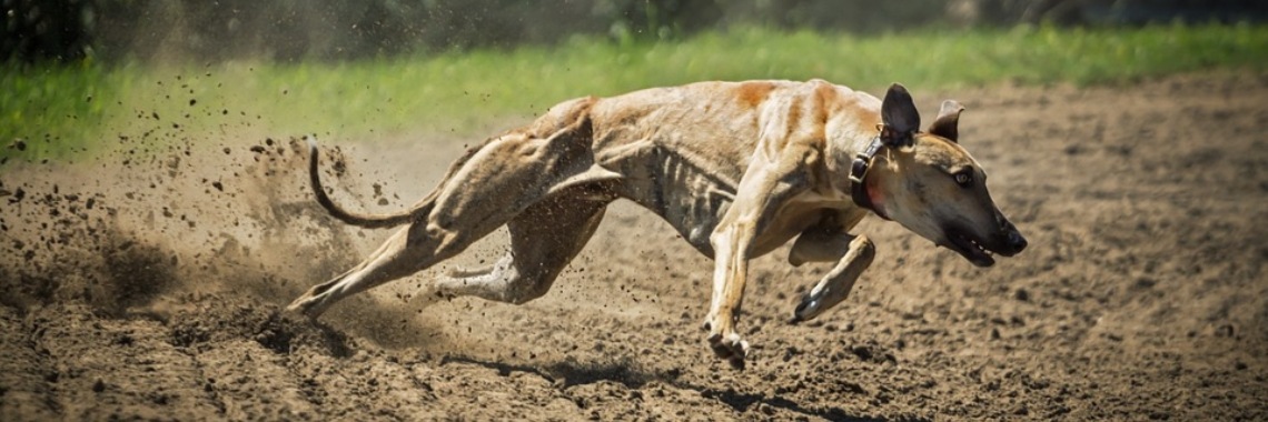 Turbosprookjes: De collectie in wording | The Original Enrique