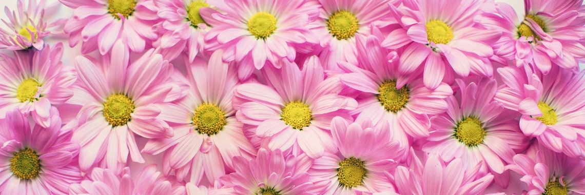 Valentijnsdag 2021 | The Original Enrique