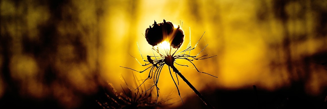 Vandaag is gisteren voorbij... | The Original Enrique