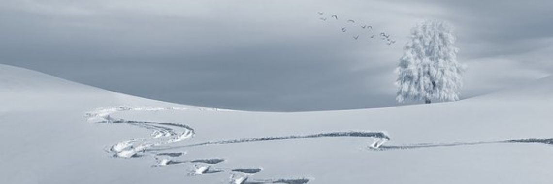 "Wakker worden, er ligt sneeuw!" | The Original Enrique