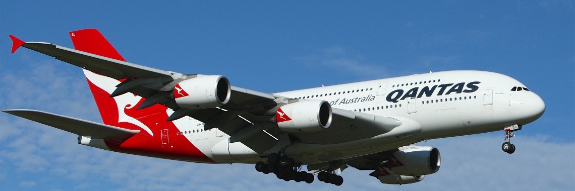 We're the bunny... | The Original Enrique