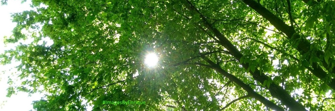 Weerzien van Weerterbergen (2) | The Original Enrique