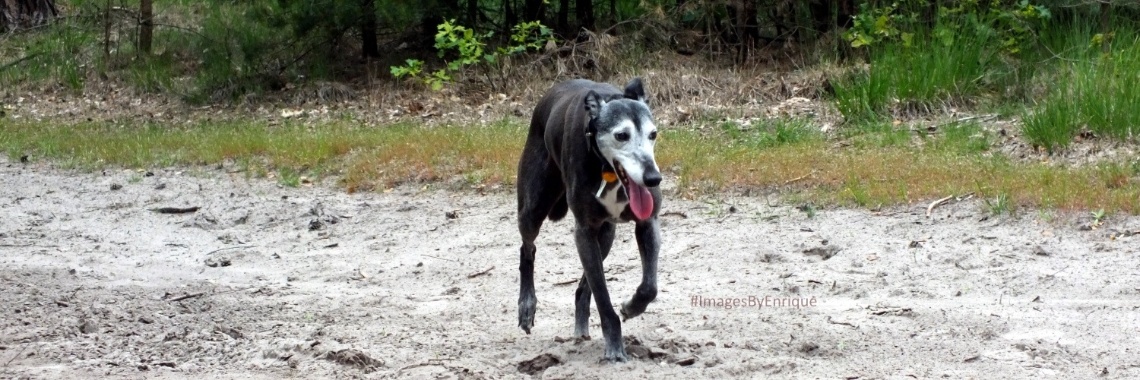 Weerzien van Weerterbergen (3) | The Original Enrique