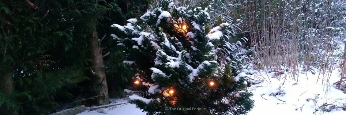 © 'Pieces of Paradise': Christmas one more time... | The Original Enrique