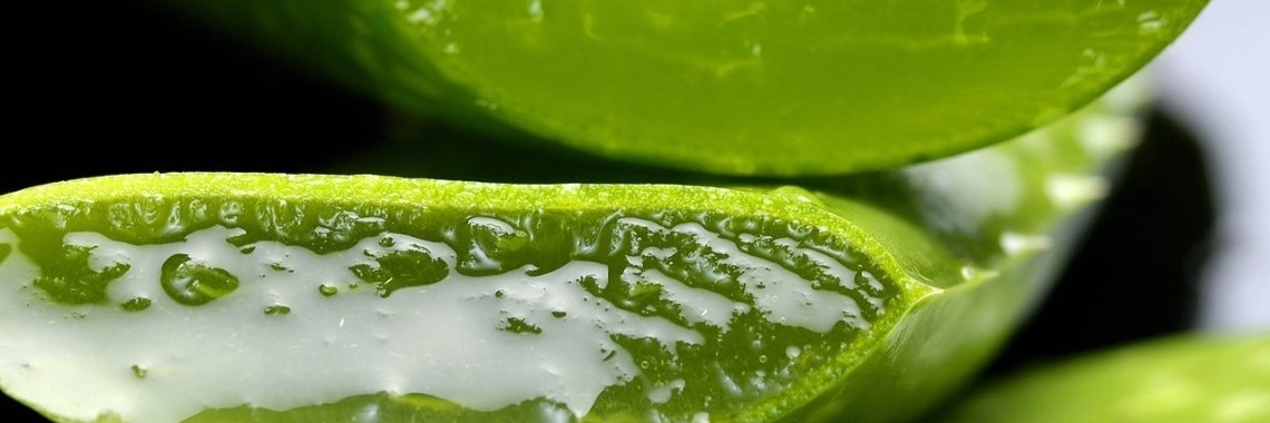 Aloë Vera olie | Rassi Health&Beauty