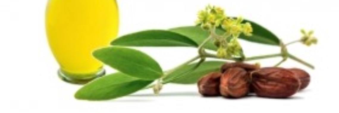 Jojoba olie | Rassi Health&Beauty