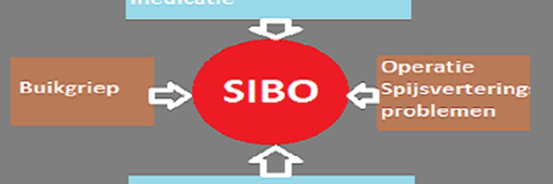 SIBO | Rassi Health&Beauty