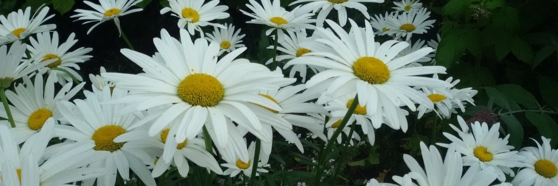 mini flow/warming up | Nienke