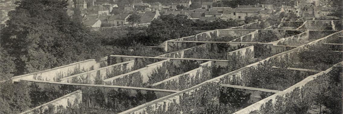 De fruitmuur: stadslandbouw uit de 17de eeuw | Tom Goemaere