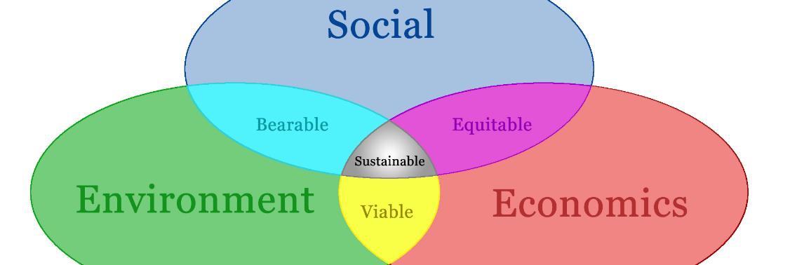 De mens centraal | Tom Goemaere