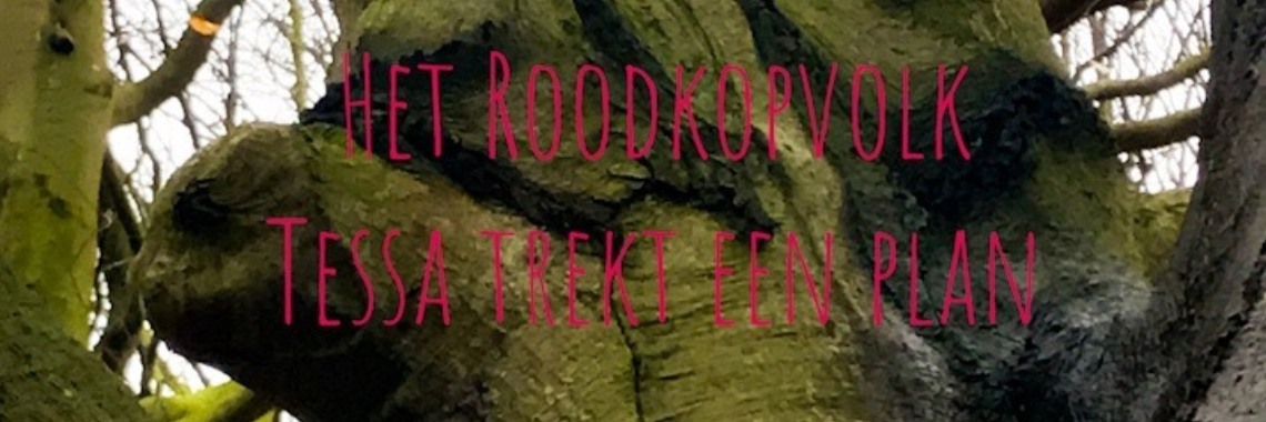 Het Roodkopvolk, Tessa trekt haar plan | LekkerLopenTV