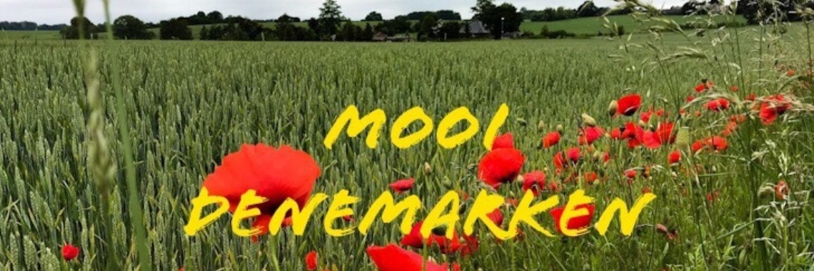 Roadtrip in foto's | LekkerLopenTV