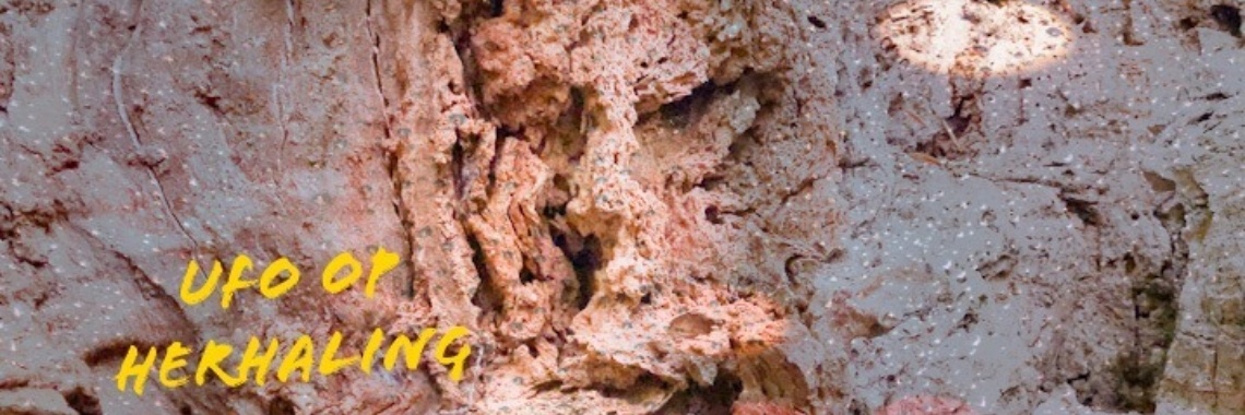 Ufo op herhaling (slot) | LekkerLopenTV