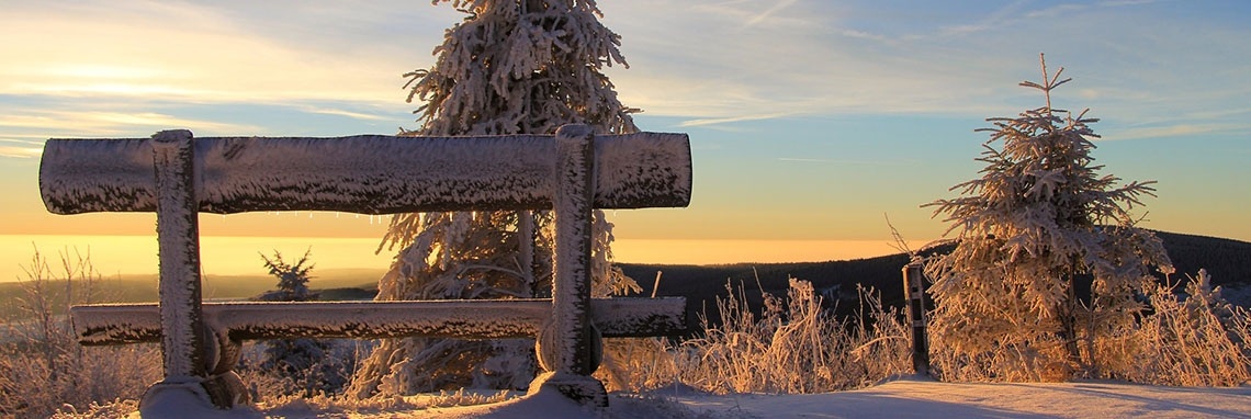 5 recepten onder de 5 euro. Winter editie | Positief Geld Besparen