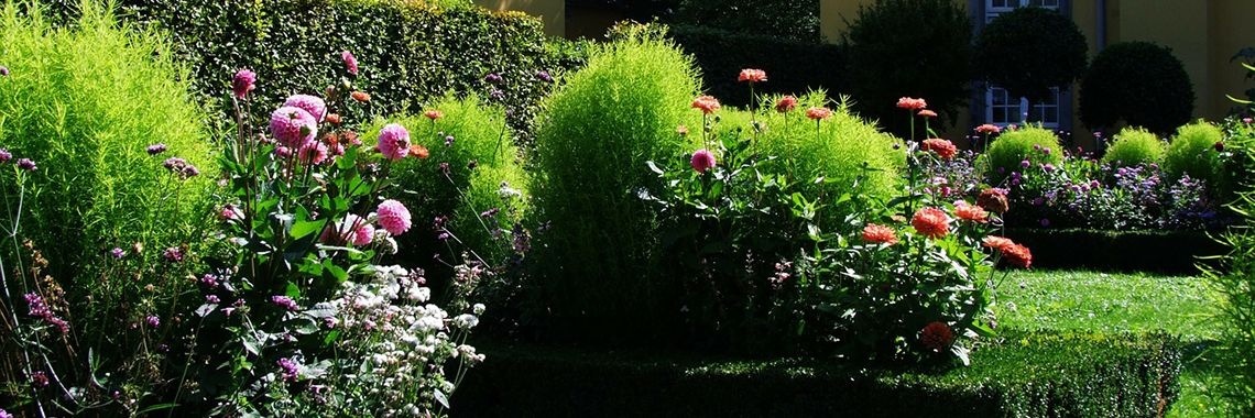 Low-budget tuin opknappen | Positief Geld Besparen