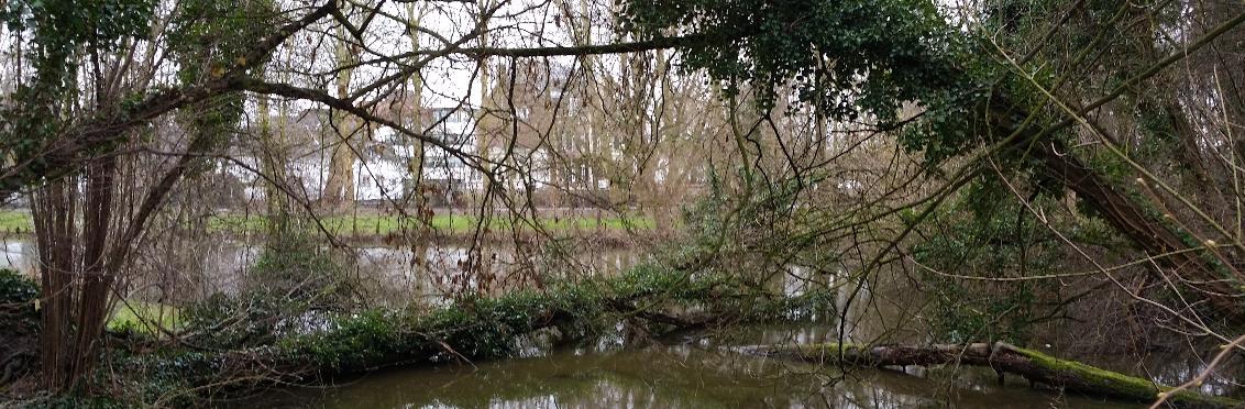 De wandeling met Lucia rijker  | Josma