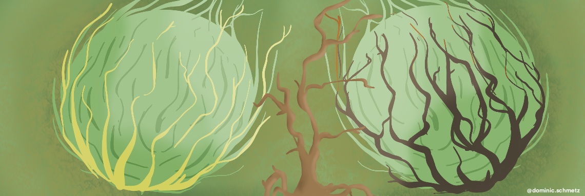 Sociale verzekeringen in NL nu hard nodig | Gingerbread