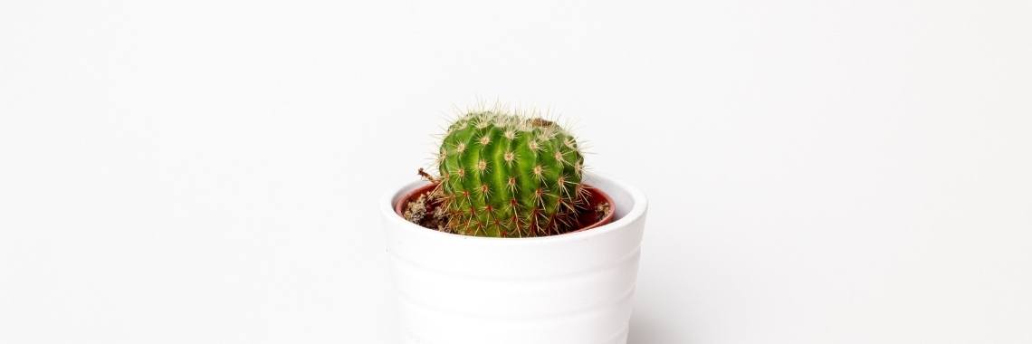 De 5 Redenen Dat Ik Me Tot Het #Minimalisme Bekeerde | GMVDMinimalism