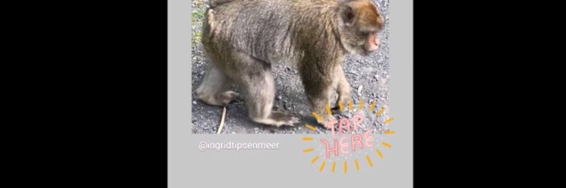 Handige tips voor een verhaal op Instagram, ofwel Instagram stories (uitleg met video) | Ingrid Tips en meer