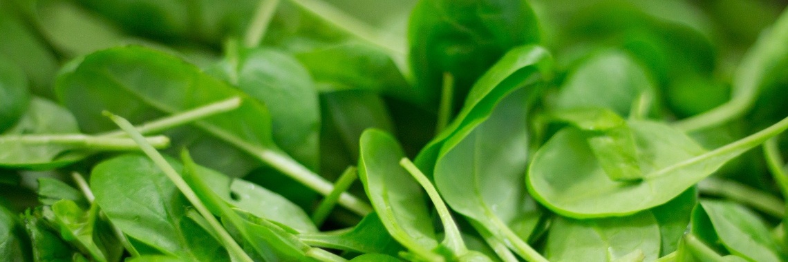 More than 40 spinach recipes and a few facts about this delicious and healthy vegetable! | Ingrid Tips en meer