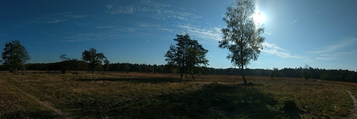 Veluwe, wat ben je mooi! | Ingrid Tips en meer