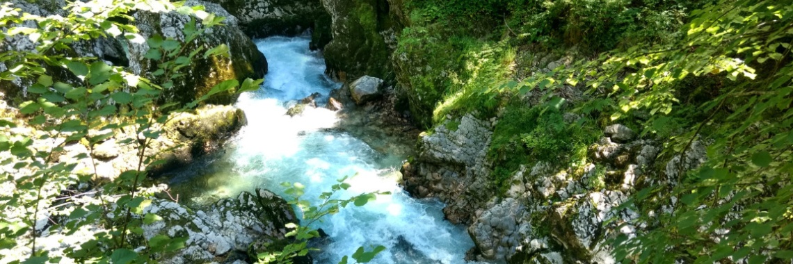Vintgar kloof Bled, Slovenië | Ingrid Tips en meer
