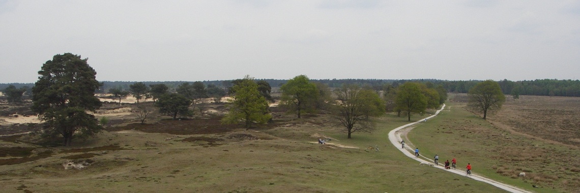 Wat te doen in Drenthe? | Ingrid Tips en meer
