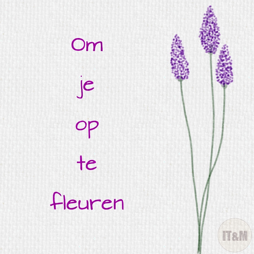 Gratis kaartjes