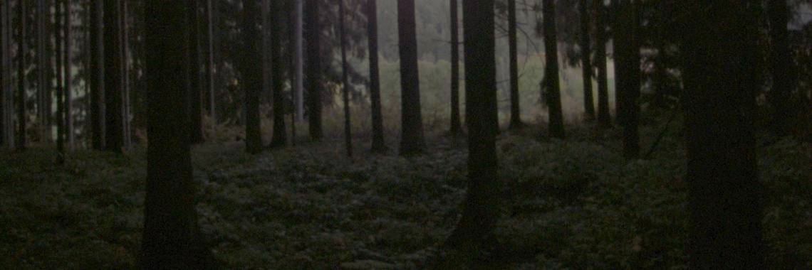 Wat te doen in Schwarzwald? | Ingrid Tips en meer