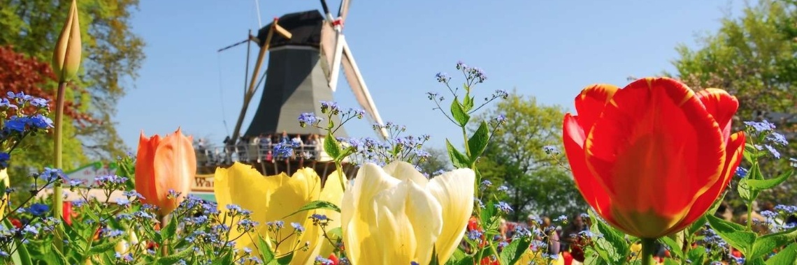 Nederland in top 10 mooiste landen om in te wonen | AgnesDeventer