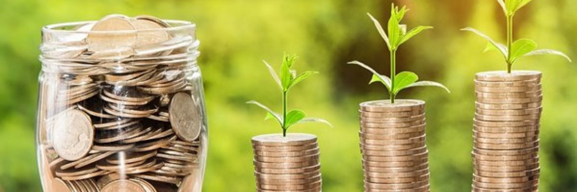 #Rijk(er) worden door te besparen | AgnesDeventer