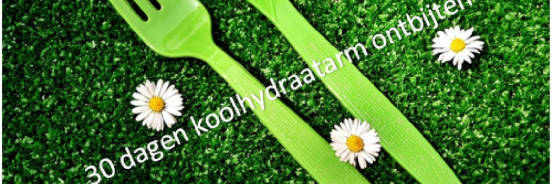 30 dagen koolhydraatarm ontbijten #dag1 #aardbeiensmoothie | Myranda