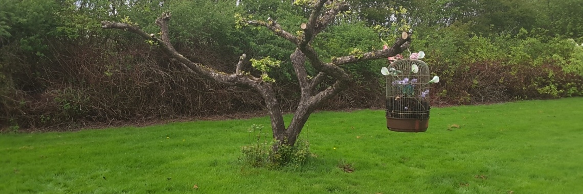 Creatief met vogelkooi | Loes van Essen