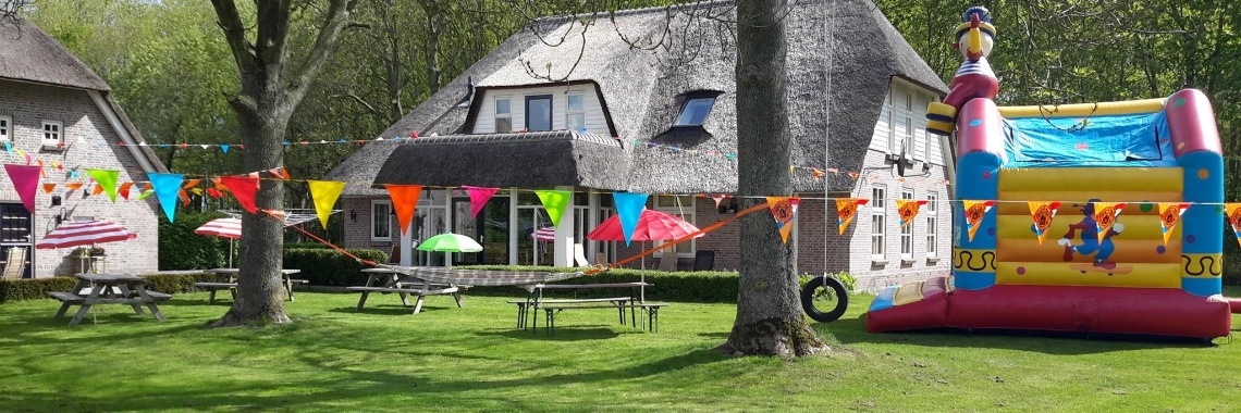 Verjaardag groots organiseren | Loes van Essen