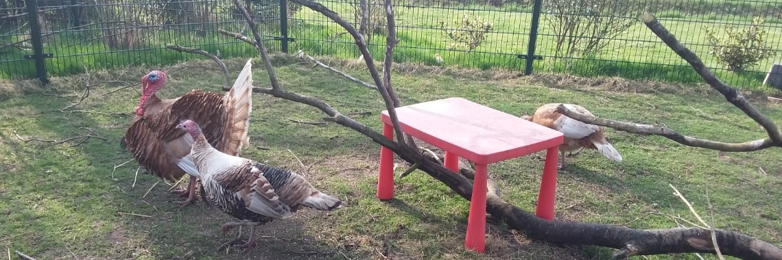 spring | Loes van Essen