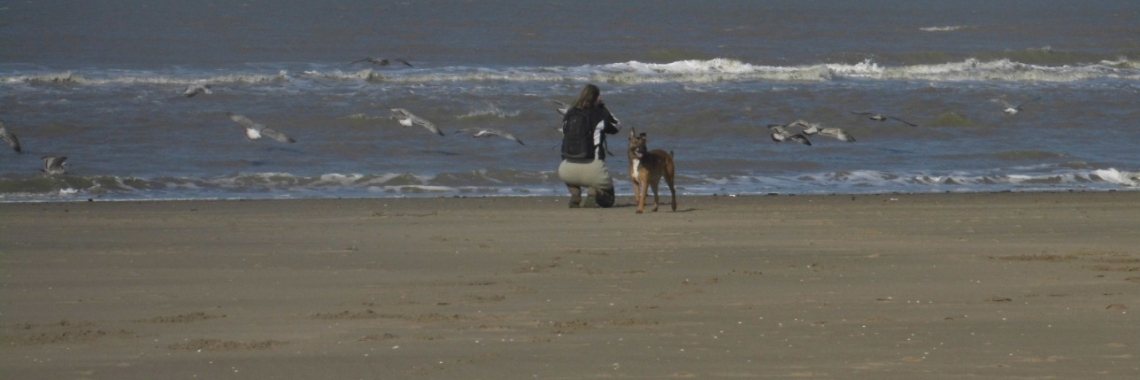 FOTOGRAFIE ... Berg en Dal!  | Hetty