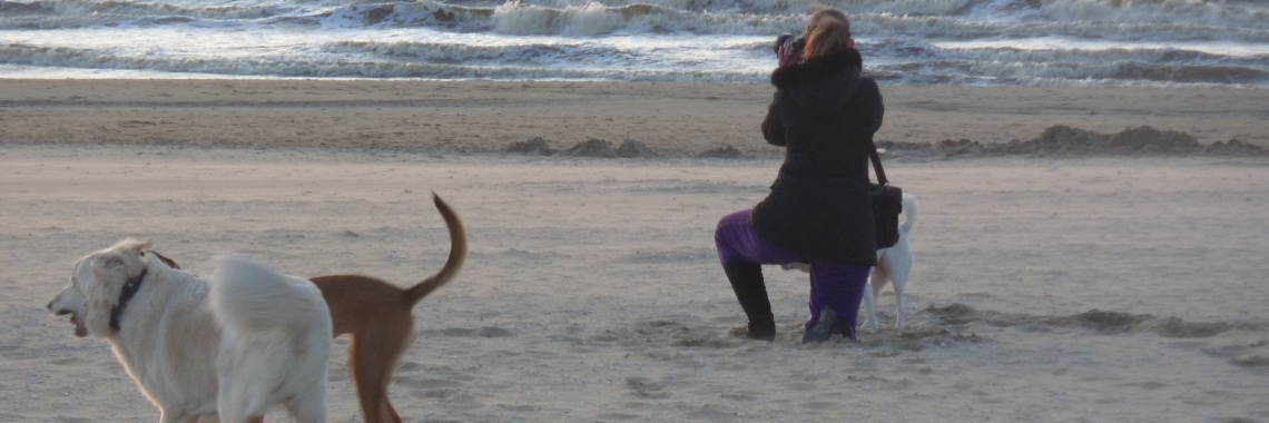 FOTOGRAFIE ... Houd je camera voor de gek!  | Hetty