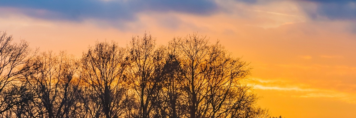 Fotografie : Verzoekjes? | Hetty