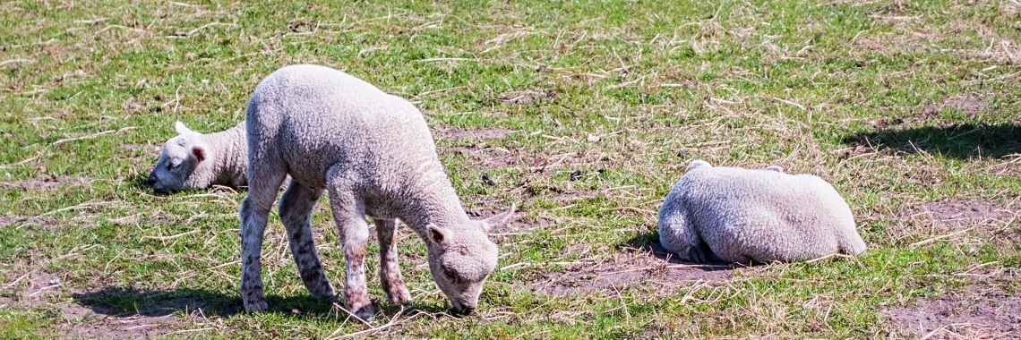 Hetty's Lentegevoel (44.) | Hetty