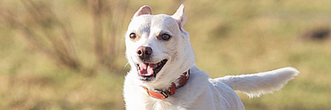 We zien elkaar weer!  | Hetty