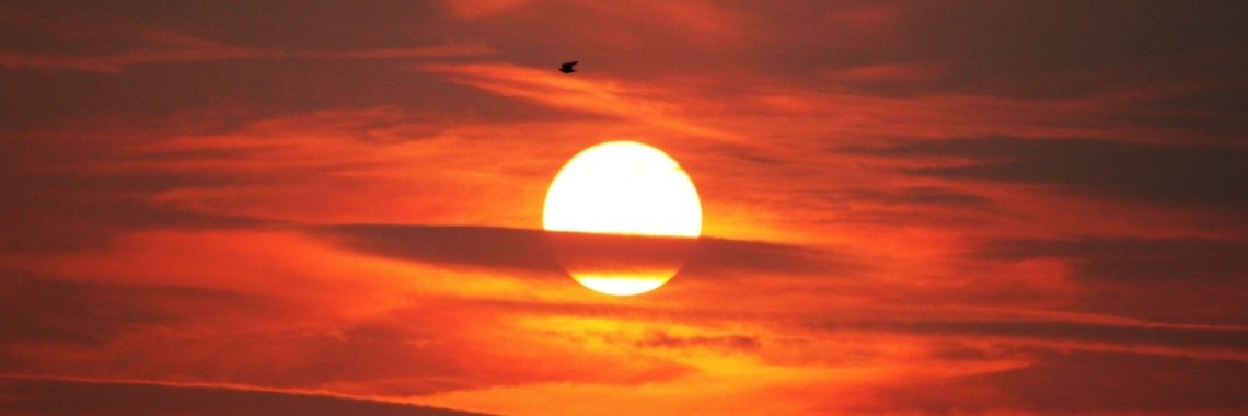 Natuur Fotografie | Dennis Le Roux