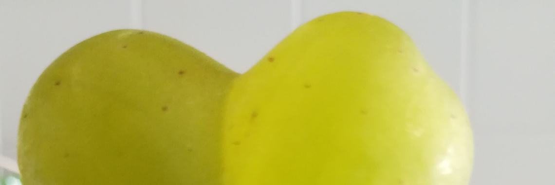 Liefdes druifje | christel_michele