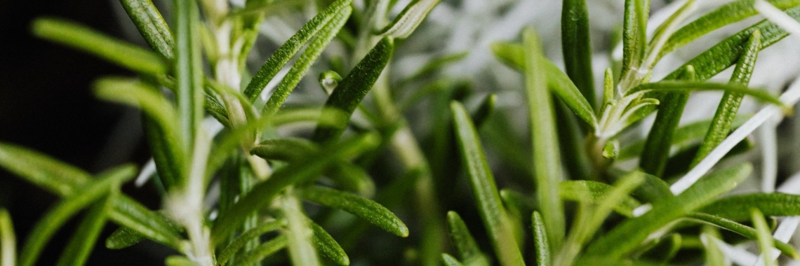 Gratis Online Tuincursus- Onkruid Herkennen | MaanErgie.nl