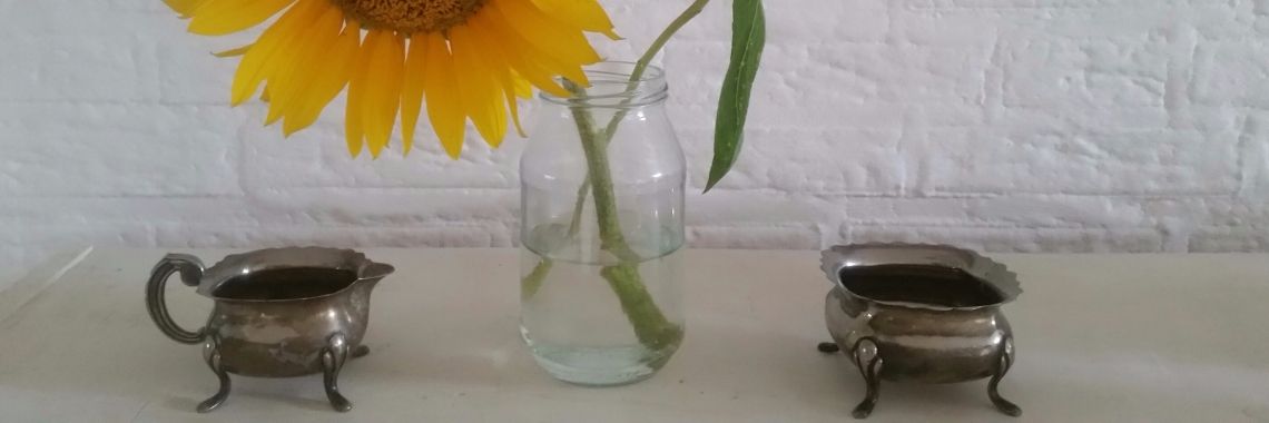 Kleine stappen naar een iets groener leven ... | MaanErgie.nl