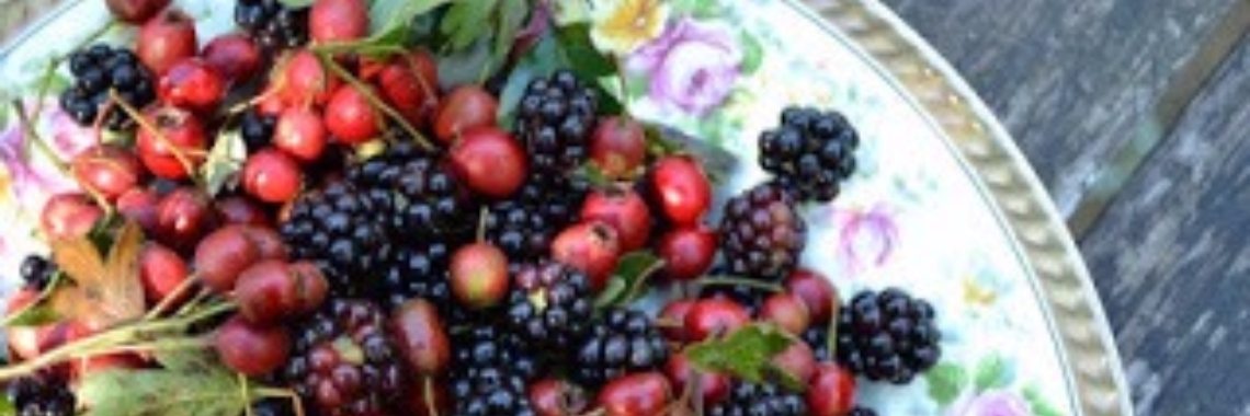 Recepten met Gratis Groenten, Fruit en Kruiden uit de Natuur - Wildpluk - Budgetmoestuin | MaanErgie.nl