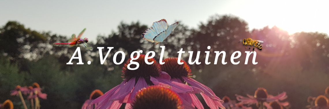 A.Vogeltuinen summer 2021. | jolandemooij
